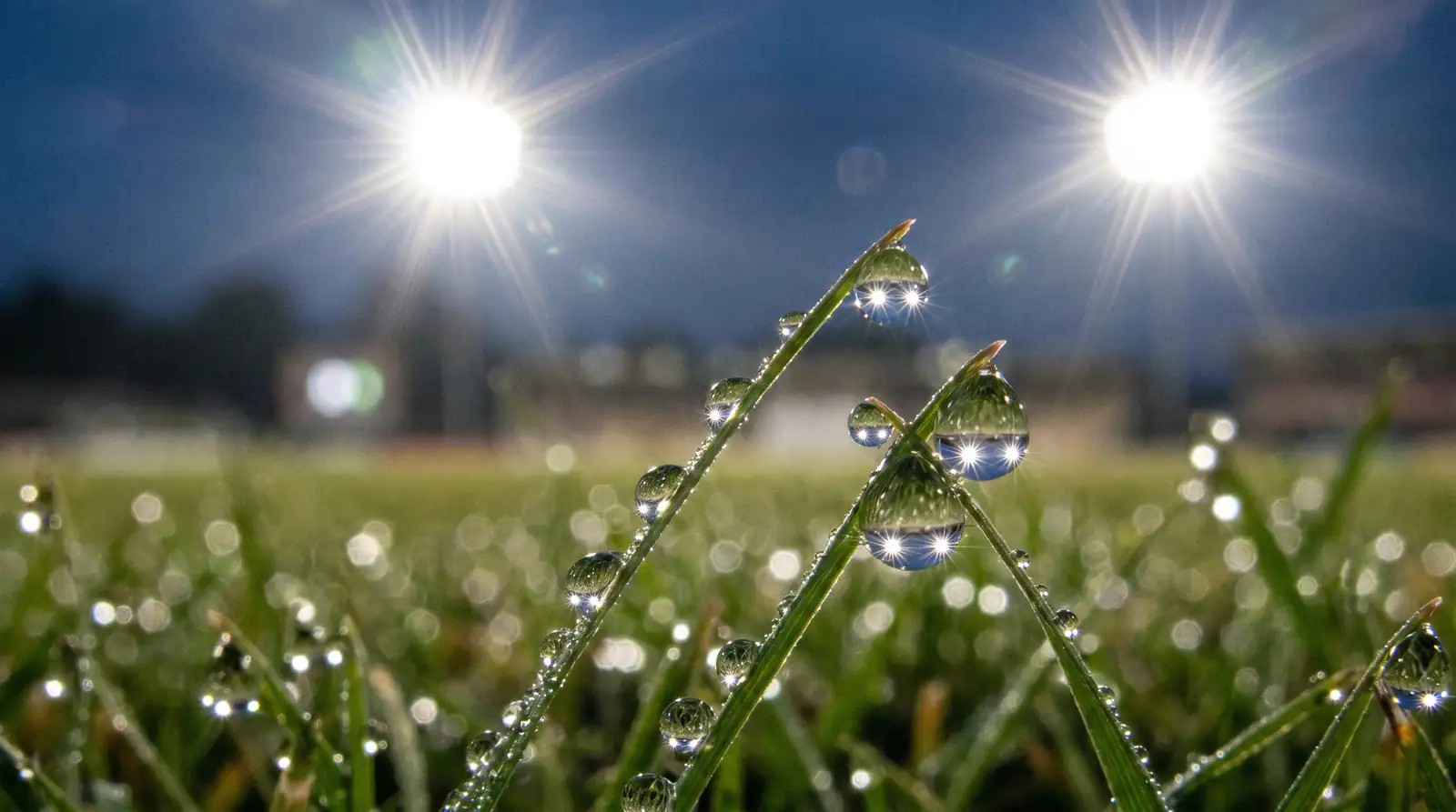 Dew forms on a floodlit Australian cricket outfield during a BBL evening match